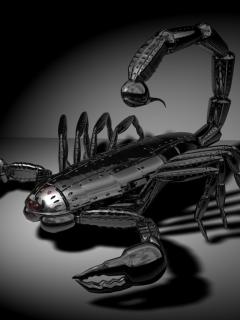 Фотография Snegyrka08