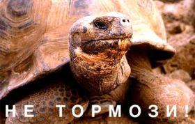 Фотография KERS