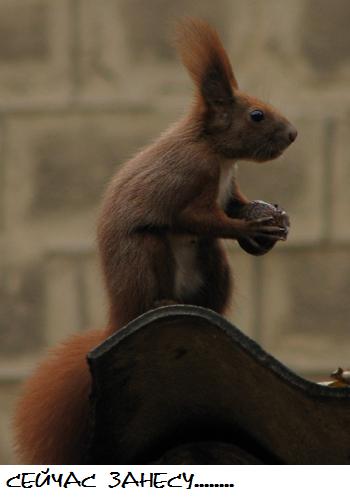 Фотография maxim175