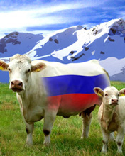 Фотография Dezlynx