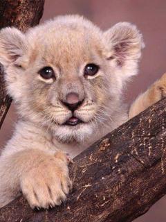 Фотография Gali333