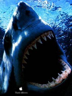 Фотография Alex-ins