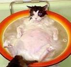 Фотография MegaLOKO