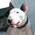 Фотография Alexeivalerich