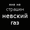 Фотография Stog99