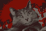 Фотография oreby