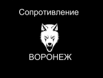 Фотография venek744