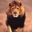 Фотография alexaz