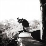 Фотография Egevika