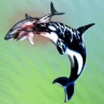 Фотография igoros66