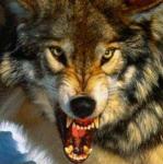 Фотография faza1973