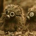 Фотография kadettok