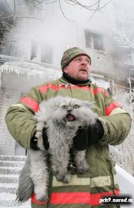 Фотография ilk66