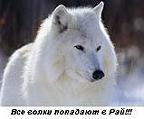 Фотография Soshiro