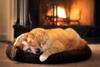 Фотография Юрий  Дубов