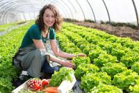 Фотография womflowrer