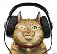 Фотография beguza