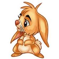 Фотография osvedyua