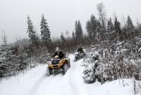 Фотография natalient