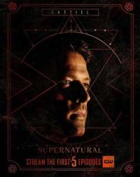 Фотография rickyy