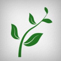 Фотография wellweta