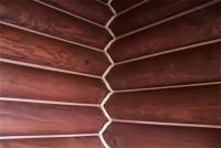 Фотография Oryneuite