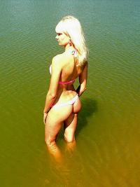 Фотография cathartes