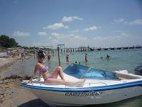 Фотография engraftment