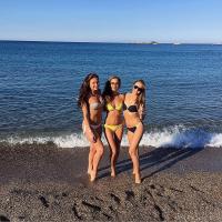 Фотография comatulids