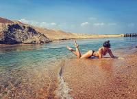 Фотография storchschnabels