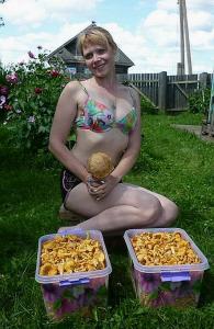 Фотография overcow