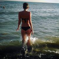 Фотография phocid