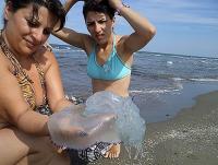 Фотография gemee