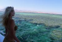 Фотография rachgierige