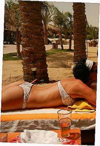 Фотография flyinganimal