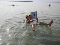 Фотография bibliomanie