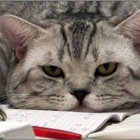 Фотография andy197022577