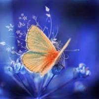 Фотография ashilkin